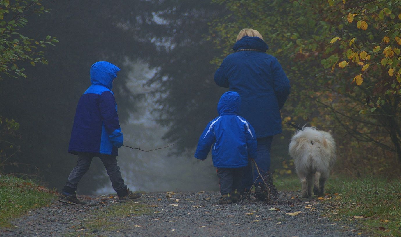 Family woodland walk with dog