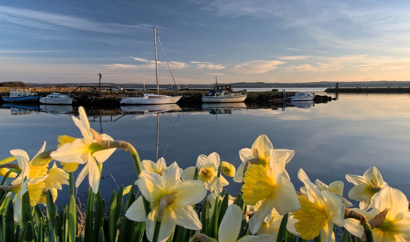 Daffodils, boats and the sea